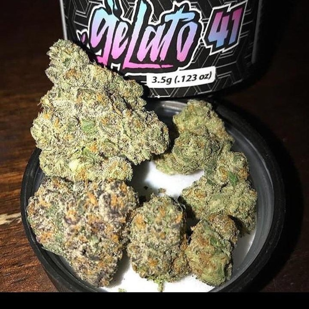 Top quality indoor and outdoor gas